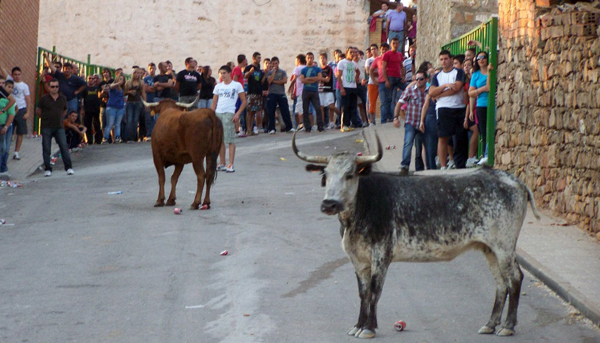 FIESTAS DE SAN MIGUEL, ENCIERROS, VILLAMARIQUE, CIUDAD REAL