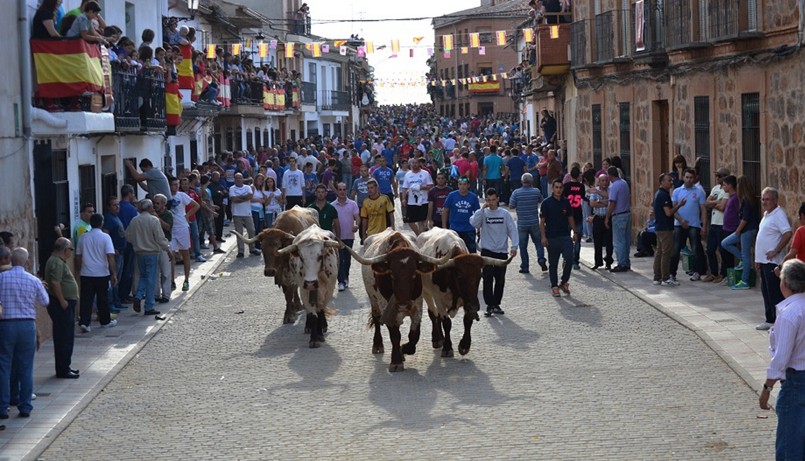 FIESTAS DE SAN MIGUEL, ENCIERROS, VILLAMARIQUE, CIUDAD REAL