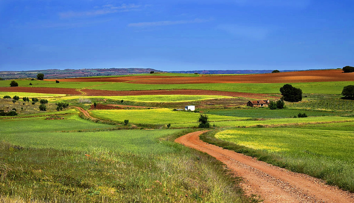VILLAMARIQUE, CIUDAD REAL